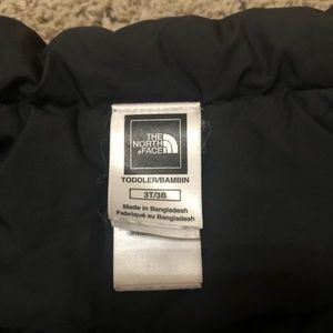North face 550 down winter coat